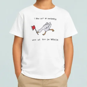 Awesome Hot I Ran Out Of Kindness Now We Run On Wrath Goose Kids T-Shirt