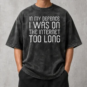 Top In My Defence I Was On The Internet printed on a soft washed t shirt in light grey