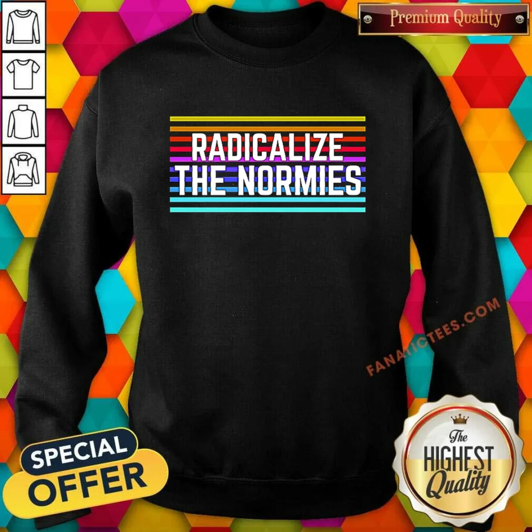 original-radicalize-the-normies-sweatshirt Original Radicalize The Normies Sweatshirt in charcoal gray, front view with bold white text design