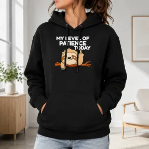 Funny Nice Sloth Middle Finger My Level Of Patience Today Cartoon Hoodie