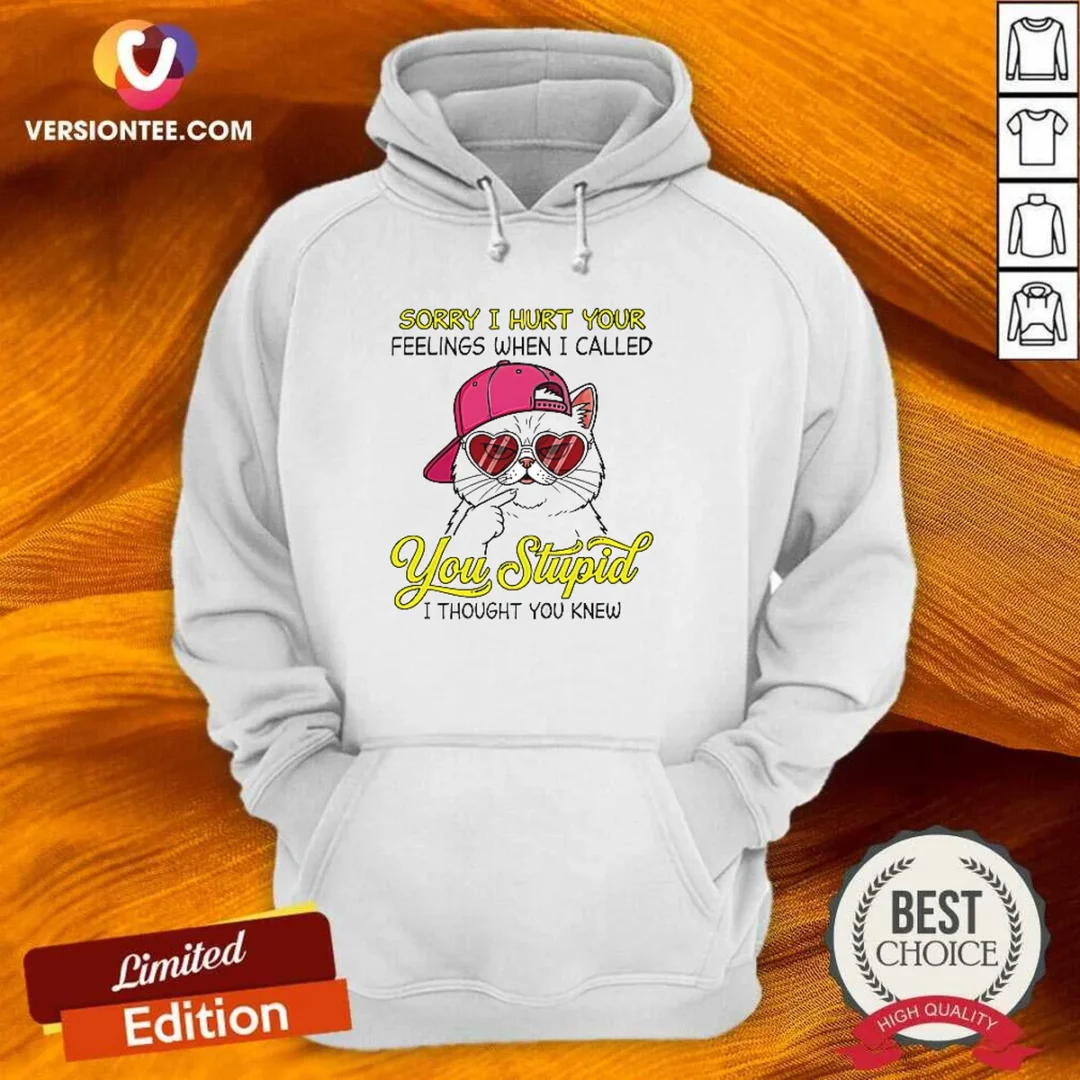 premium-cat-sorry-i-hurt-your-feelings-when-i-called-you-stupid-i-thought-you-knew-hoodie Premium Cat Sorry I Hurt Your Feelings When I Called You Stupid I Thought You Knew Hoodie in black, front view with printed text design