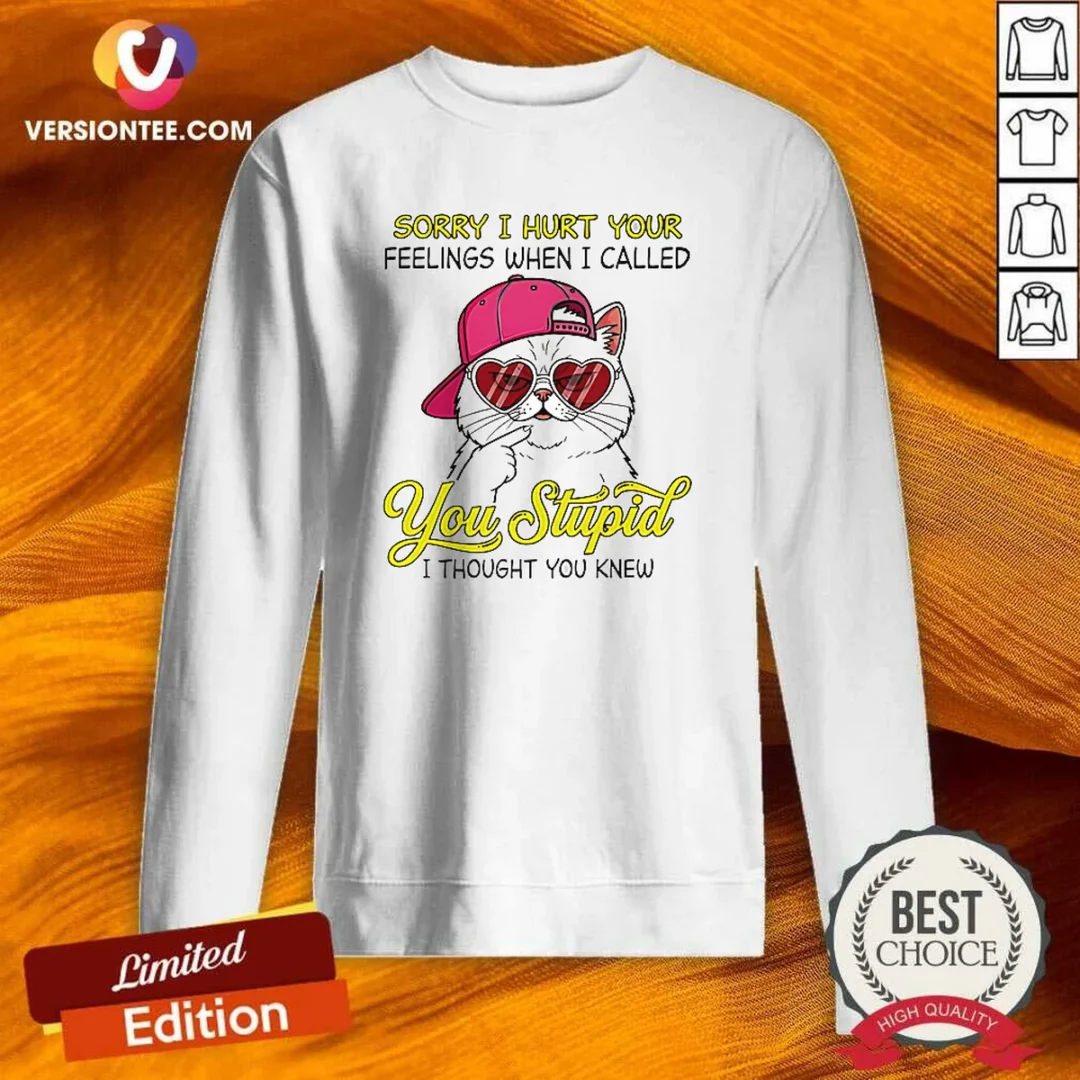 premium-cat-sorry-i-hurt-your-feelings-when-i-called-you-stupid-i-thought-you-knew-sweatshirt Premium Cat Sorry I Hurt Your Feelings When I Called You Stupid I Thought You Knew Sweatshirt