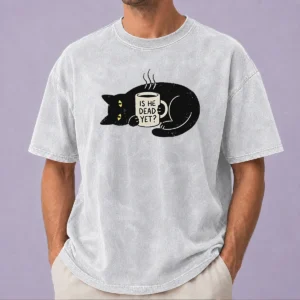 Nice SchröDinger'S Roommate Geek Washed T-Shirt