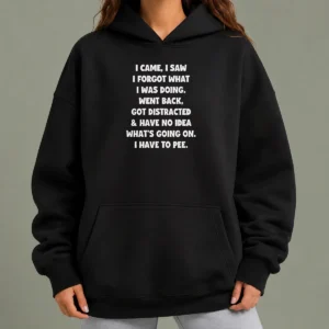 Funny Nice I Came I Saw I Forgot What I Was Doing Hoodie